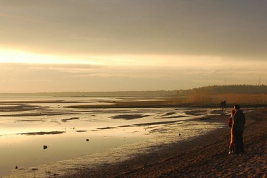 Systo Palty Togathering 2008